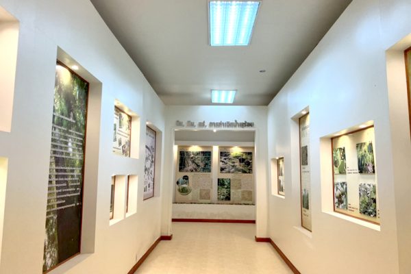 sala010