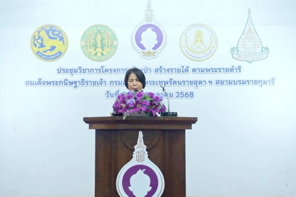 25050863-1