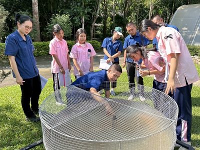 suanphung16116804 suanphung16116804