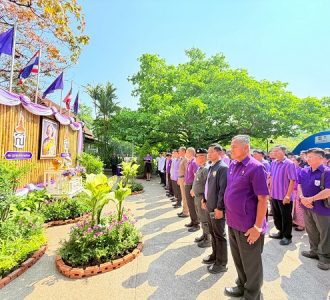 suanphung12 suanphung12