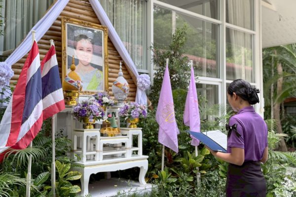 suanphueng02066918 suanphueng02066918