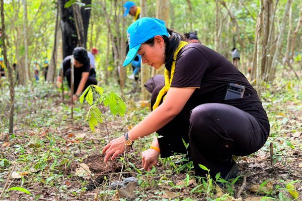 suanphueng22076905