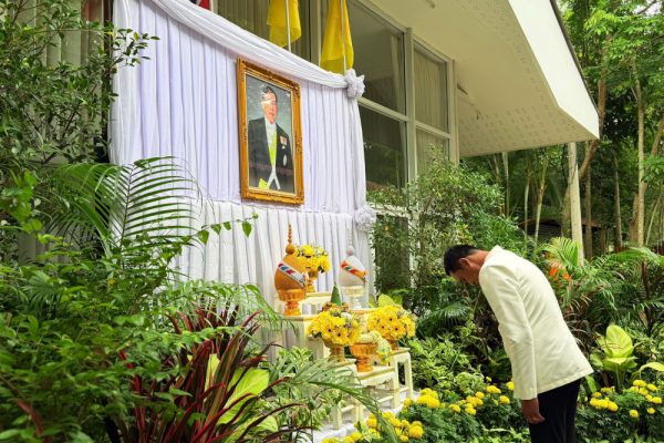 suanphueng27076901